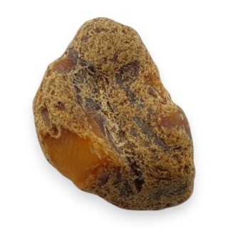 Baltic amber raw nugget 24x16 mm no 1