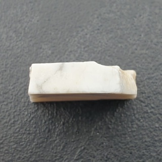 Howlit cięty surowy 23x21 mm nr 48