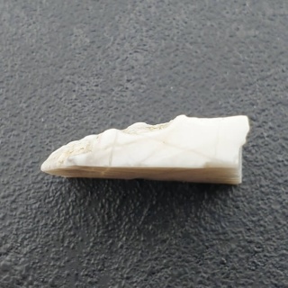 Howlit cięty surowy 24x24 mm nr 46