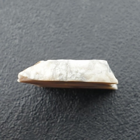 Howlit cięty surowy 26x24 mm nr 36