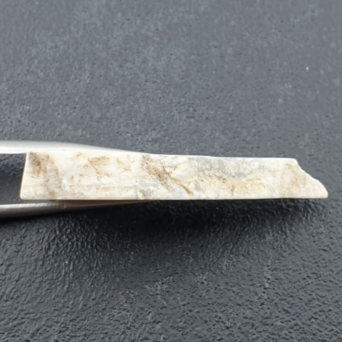 Howlit cięty surowy 39x22 mm nr 67