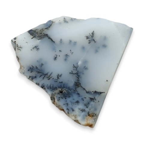 Agat dendrytowy cięty surowy 22x21 mm nr 98