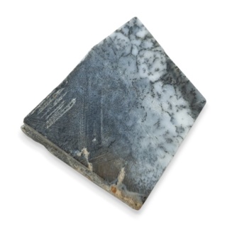 Agat dendrytowy cięty surowy 23x21 mm nr 81