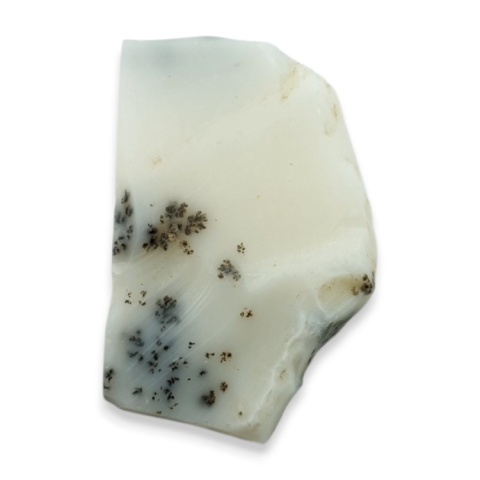 Dentritic agate cut raw 29x19 mm no 49