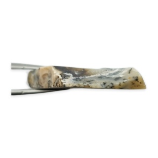 Agat dendrytowy cięty surowy 31x23 mm nr 24