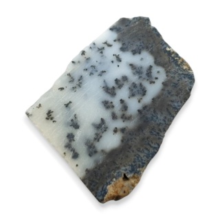 Agat dendrytowy cięty surowy 31x25 mm nr 28