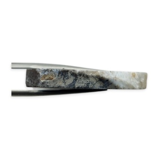 Agat dendrytowy cięty surowy 32x22 mm nr 56
