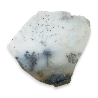 Agat dendrytowy cięty surowy 34x30 mm nr 10