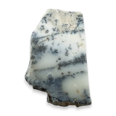 Agat dendrytowy cięty surowy 36x22 mm nr 20