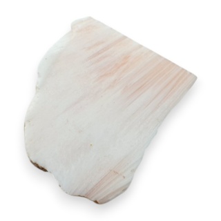 Skolecyt cięty surowy 24x20 mm nr 65