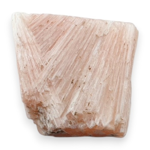 Skolecyt cięty surowy 24x23 mm nr 62