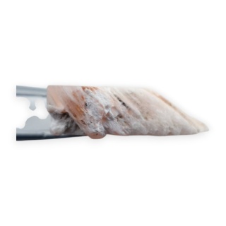 Skolecyt cięty surowy 25x21 mm nr 56