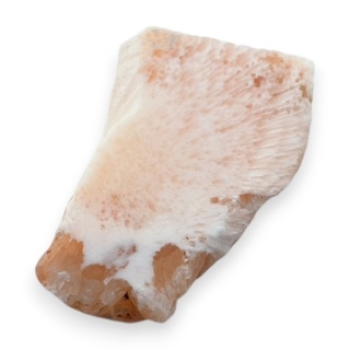 Skolecyt cięty surowy 26x19 mm nr 53