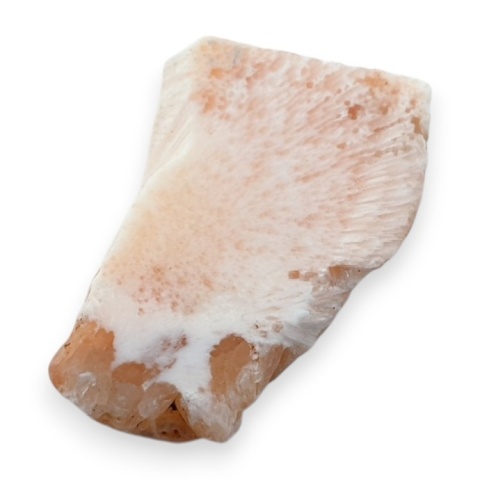 Skolecyt cięty surowy 26x19 mm nr 53