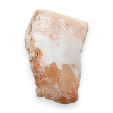 Skolecyt cięty surowy 26x19 mm nr 53