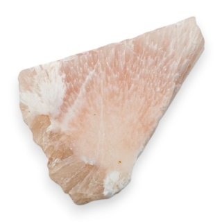 Skolecyt cięty surowy 26x25 mm nr 60