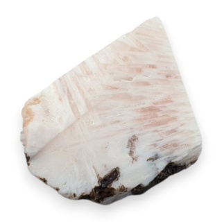 Skolecyt cięty surowy 27x20 mm nr 11