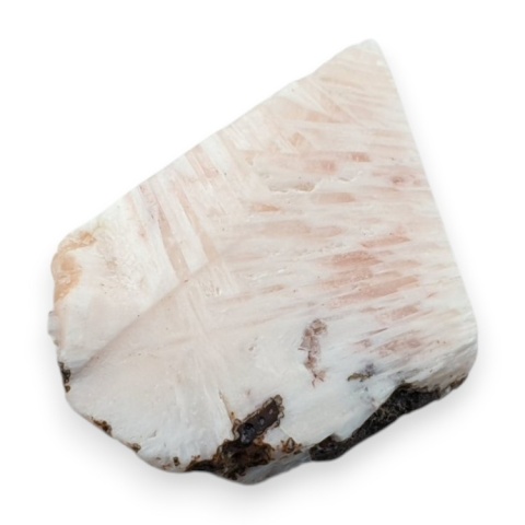 Skolecyt cięty surowy 27x20 mm nr 11