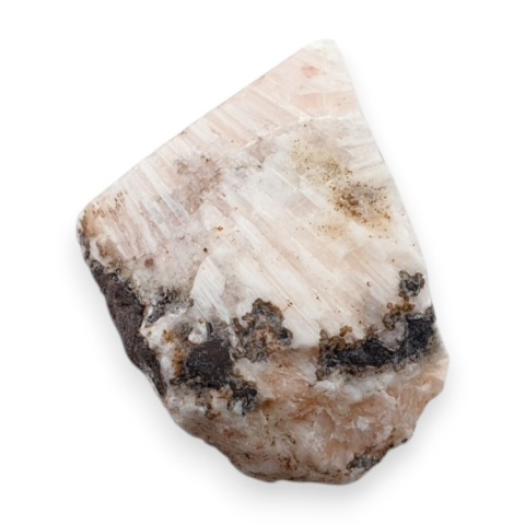 Skolecyt cięty surowy 27x20 mm nr 11