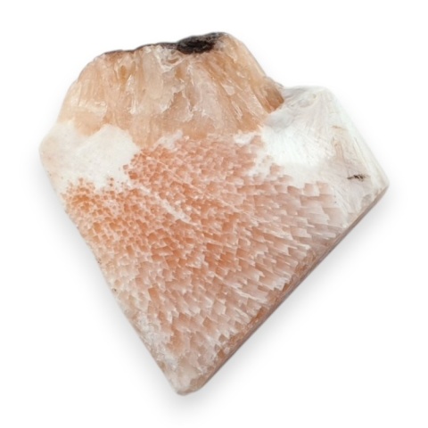 Skolecyt cięty surowy 27x27 mm nr 32