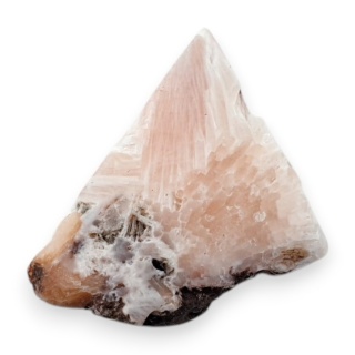 Skolecyt cięty surowy 28x23 mm nr 50