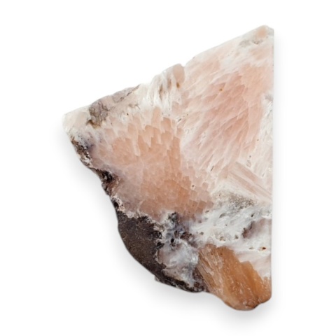 Skolecyt cięty surowy 28x23 mm nr 50