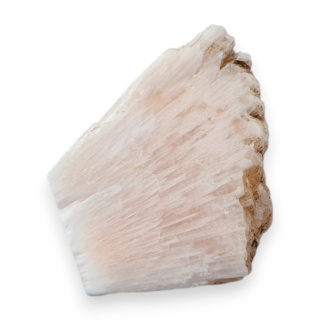 Skolecyt cięty surowy 28x24 mm nr 67