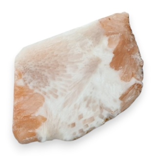 Skolecyt cięty surowy 28x25 mm nr 22