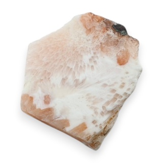 Skolecyt cięty surowy 28x26 mm nr 70