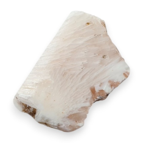 Skolecyt cięty surowy 29x20 mm nr 48