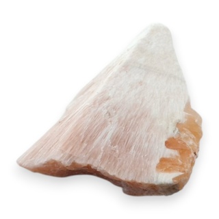 Skolecyt cięty surowy 29x22 mm nr 57