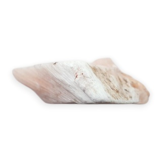 Skolecyt cięty surowy 29x22 mm nr 57