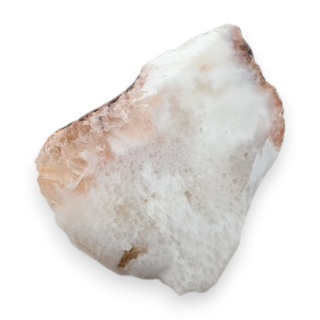 Skolecyt cięty surowy 29x23 mm nr 46