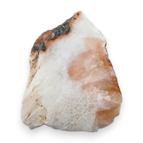 Skolecyt cięty surowy 29x23 mm nr 46