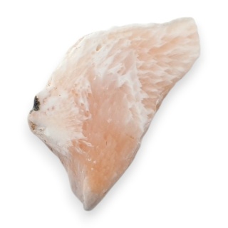 Skolecyt cięty surowy 30x16 mm nr 55