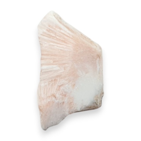 Skolecyt cięty surowy 30x16 mm nr 55