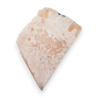 Skolecyt cięty surowy 30x19 mm nr 69