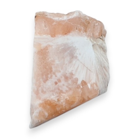 Skolecyt cięty surowy 30x19 mm nr 69