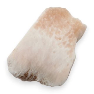 Skolecyt cięty surowy 30x23 mm nr 40