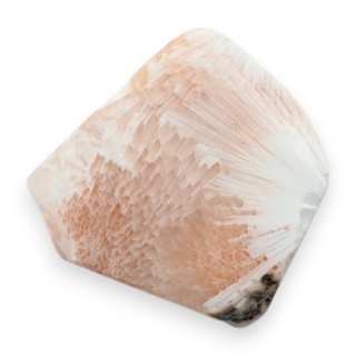 Skolecyt cięty surowy 30x26 mm nr 2