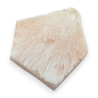 Skolecyt cięty surowy 30x27 mm nr 10