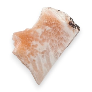 Skolecyt cięty surowy 31x20 mm nr 44