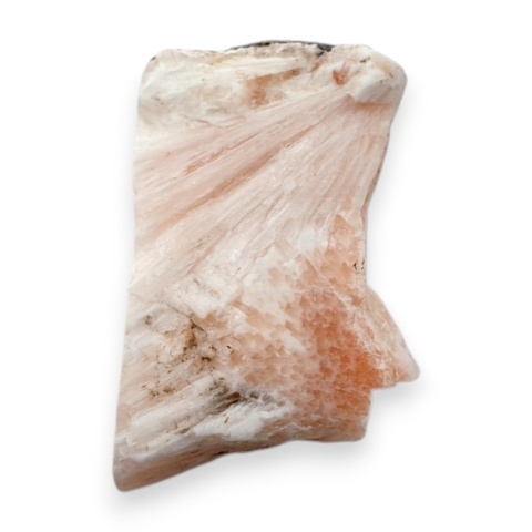 Skolecyt cięty surowy 31x20 mm nr 44