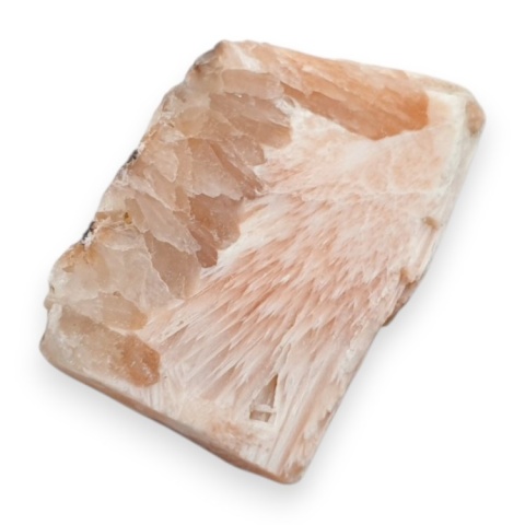 Skolecyt cięty surowy 31x21 mm nr 33