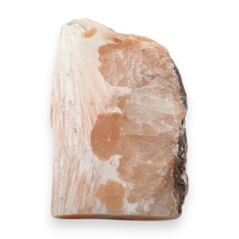 Skolecyt cięty surowy 31x21 mm nr 33