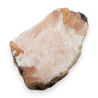 Skolecyt cięty surowy 31x21 mm nr 34