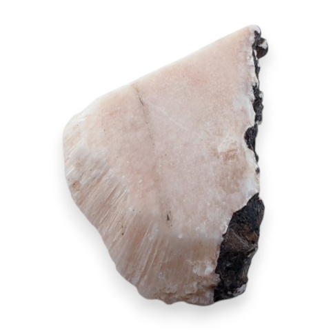 Skolecyt cięty surowy 31x22 mm nr 13