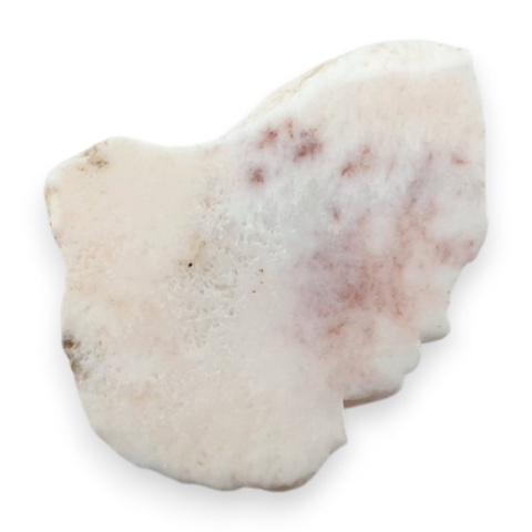 Skolecyt cięty surowy 31x22 mm nr 51