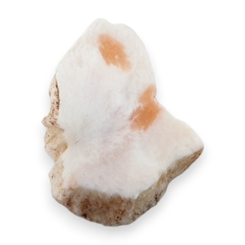 Skolecyt cięty surowy 31x22 mm nr 51