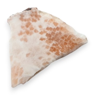 Skolecyt cięty surowy 31x23 mm nr 42